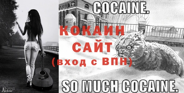 соль ск Горняк