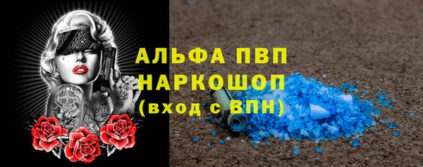 сатива Гусев