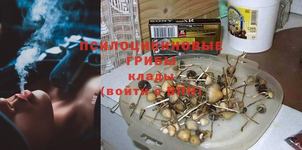 COCAINE Горно-Алтайск