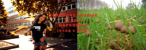 соль ск Горняк