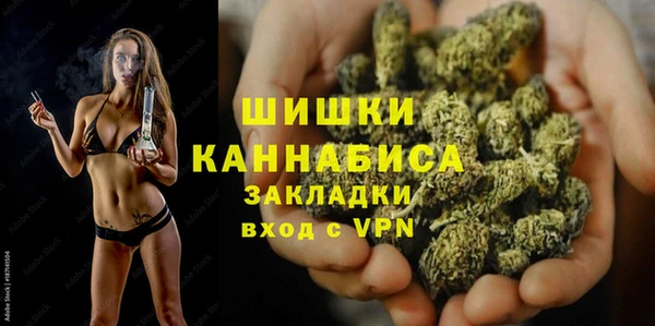 сатива Гусев