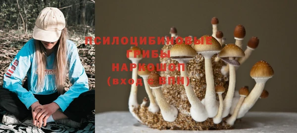 герыч Гусиноозёрск
