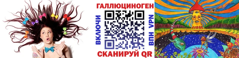 закладка  Дмитров  Псилоцибиновые грибы мицелий 